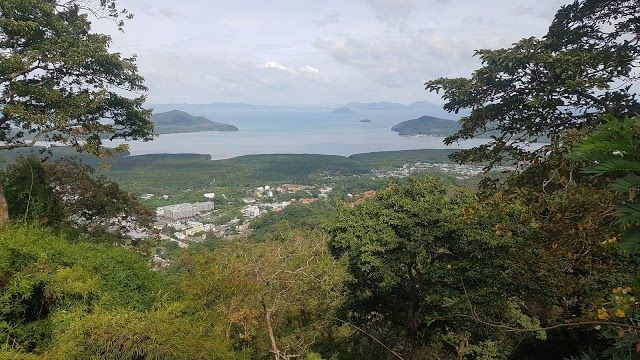 Monkey Hill Viewpoint